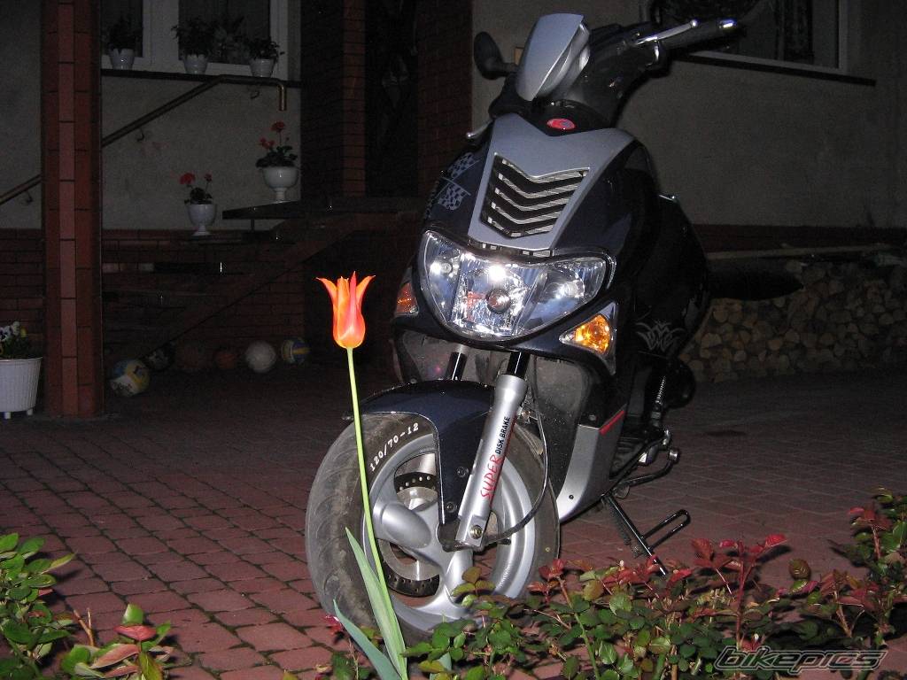 Bike Photo 358903