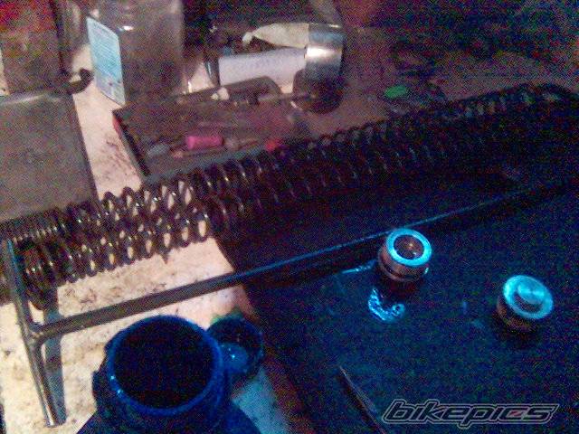 Photo 358954
