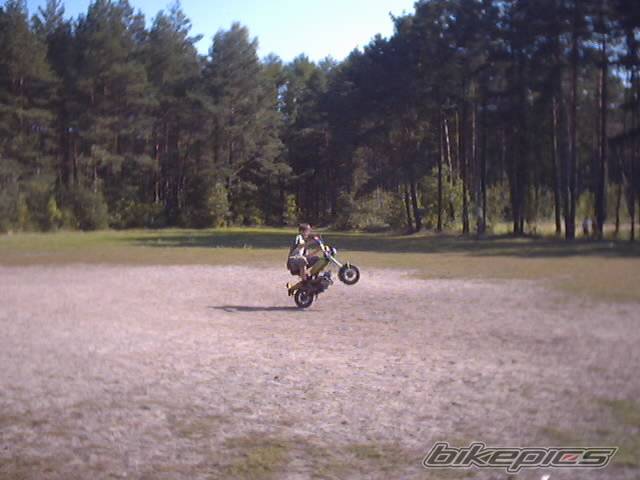Bike Photo 358976