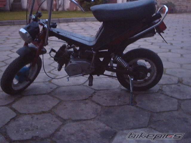 Bike Photo 359065