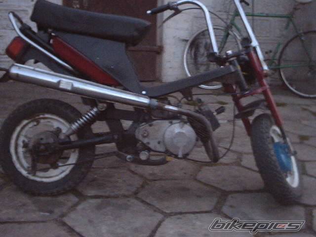 Photo 359075