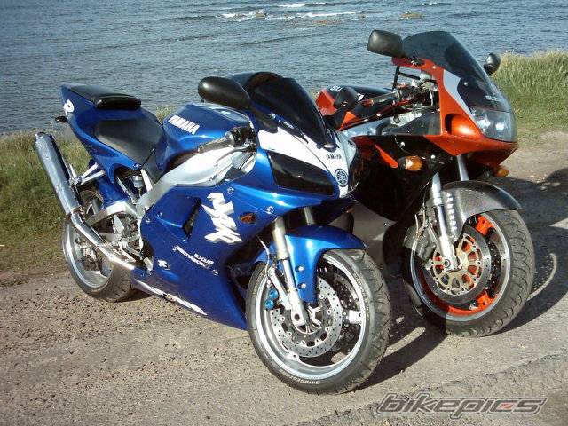 Photo 359233