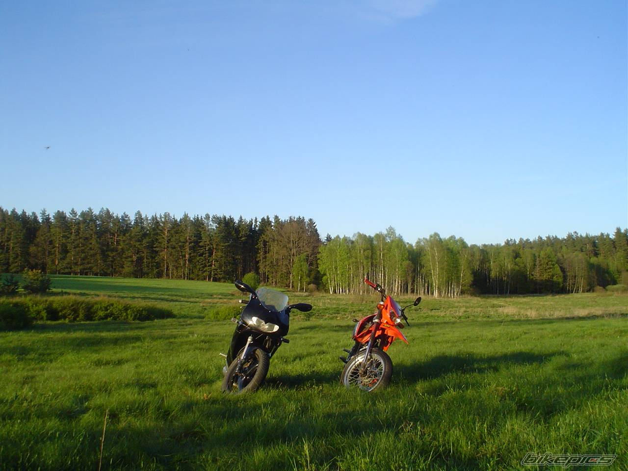 Photo 359252