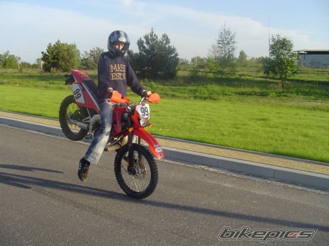 Photo 359909