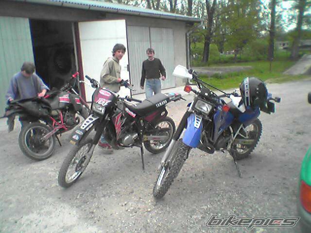 Photo 359955