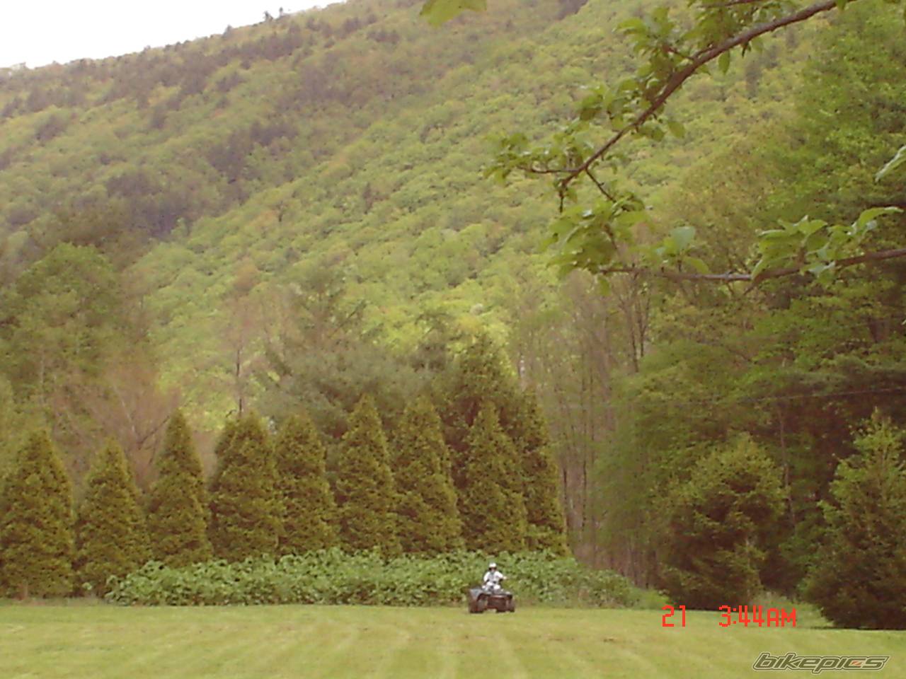 Photo 359981