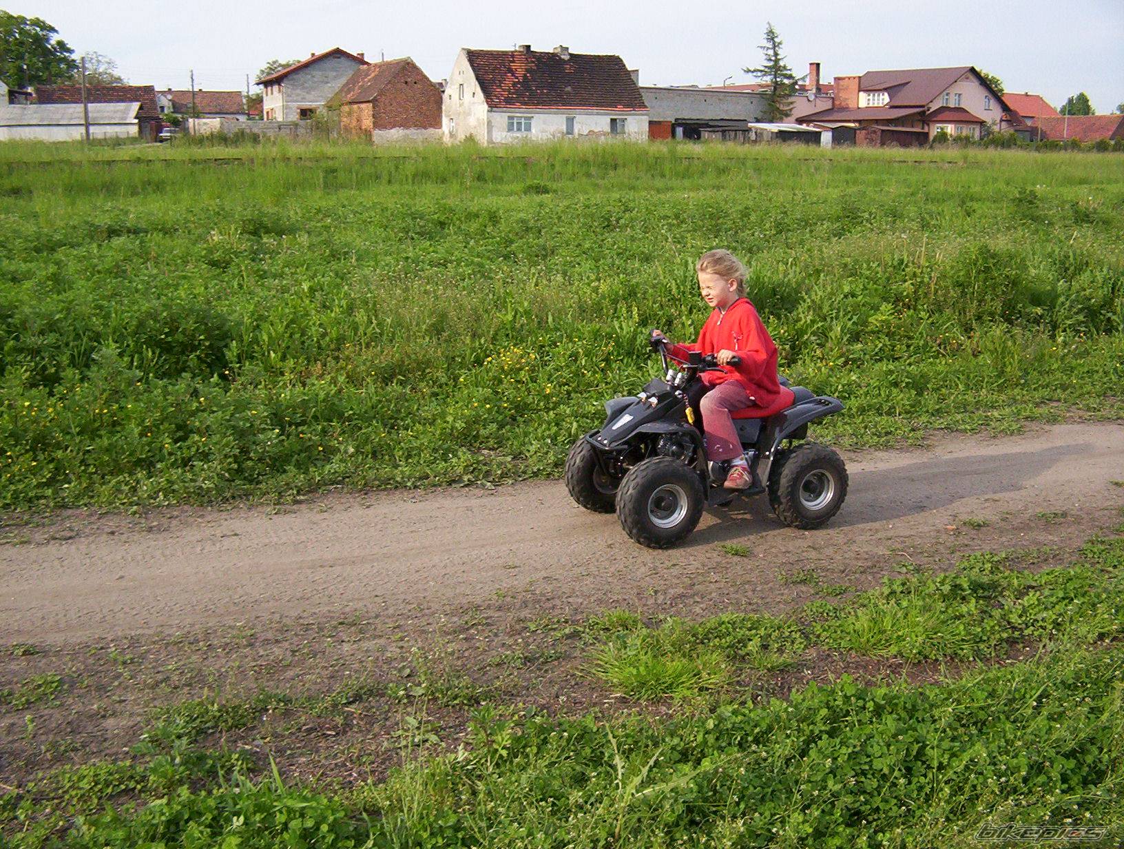 Photo 359997