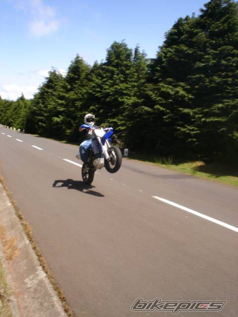 Photo 360099