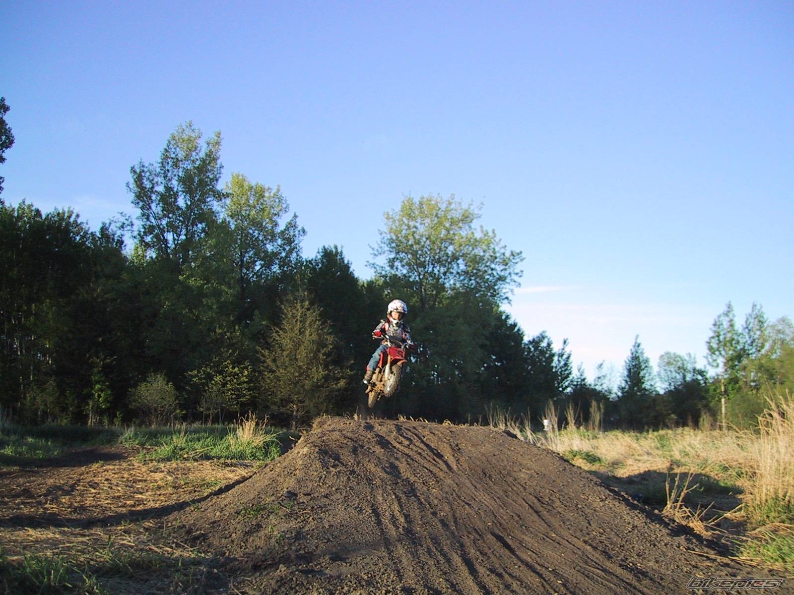 Photo 360491