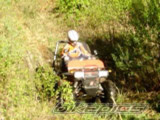 Photo 360648