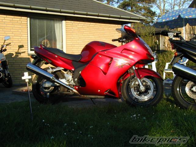 Photo 3608