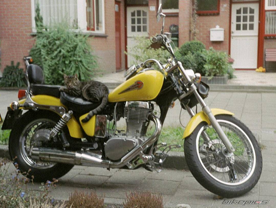 Bike Photo 361001