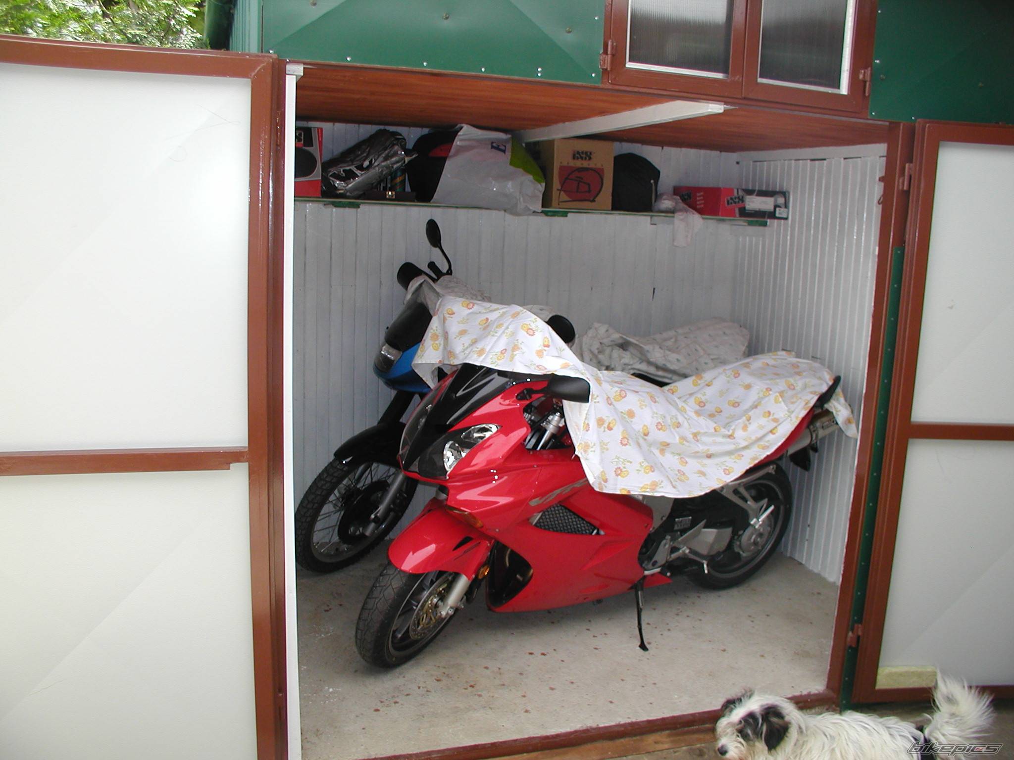 Bike Photo 361114