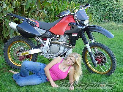 Bike Photo 361298