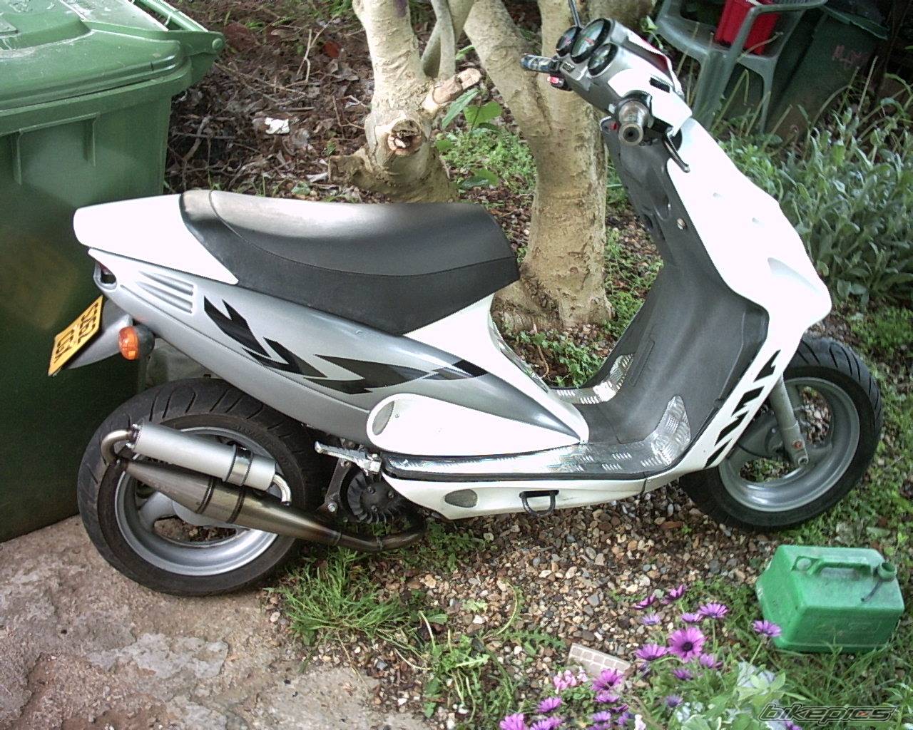 Photo 361395