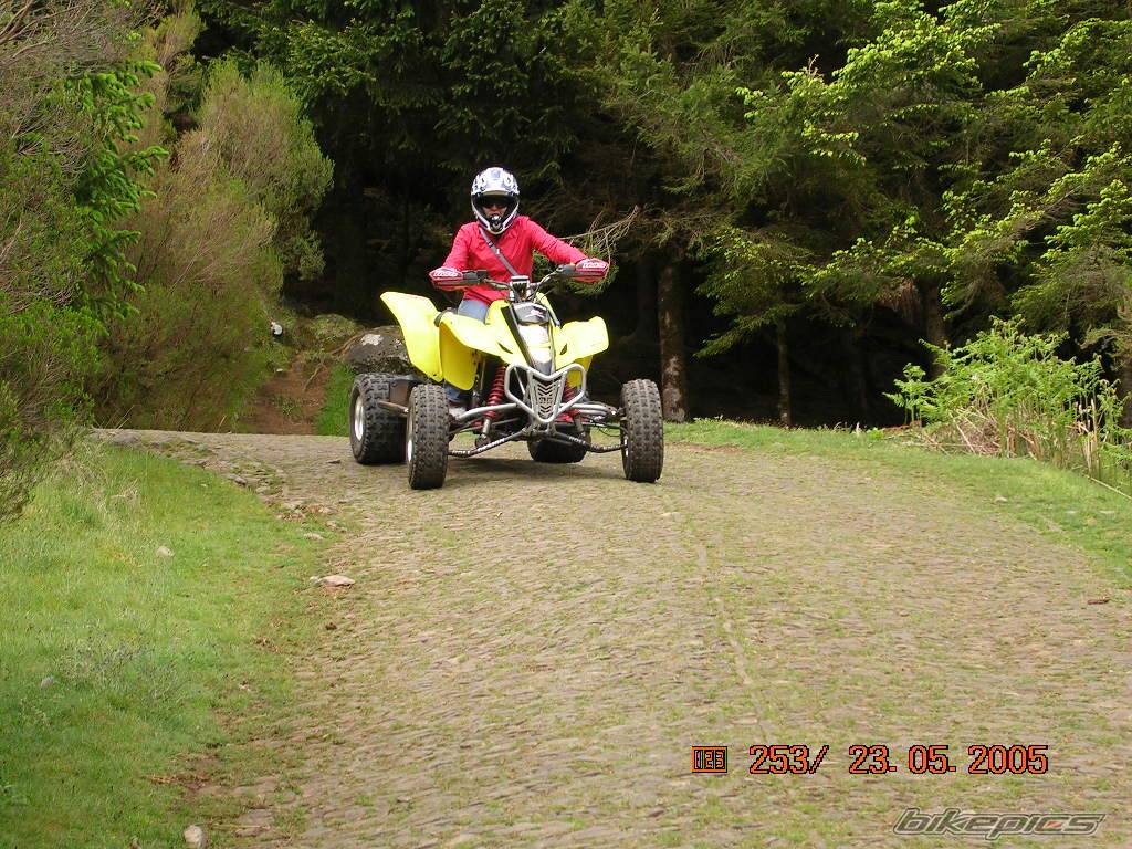 Photo 361482