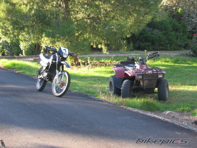 Photo 361567