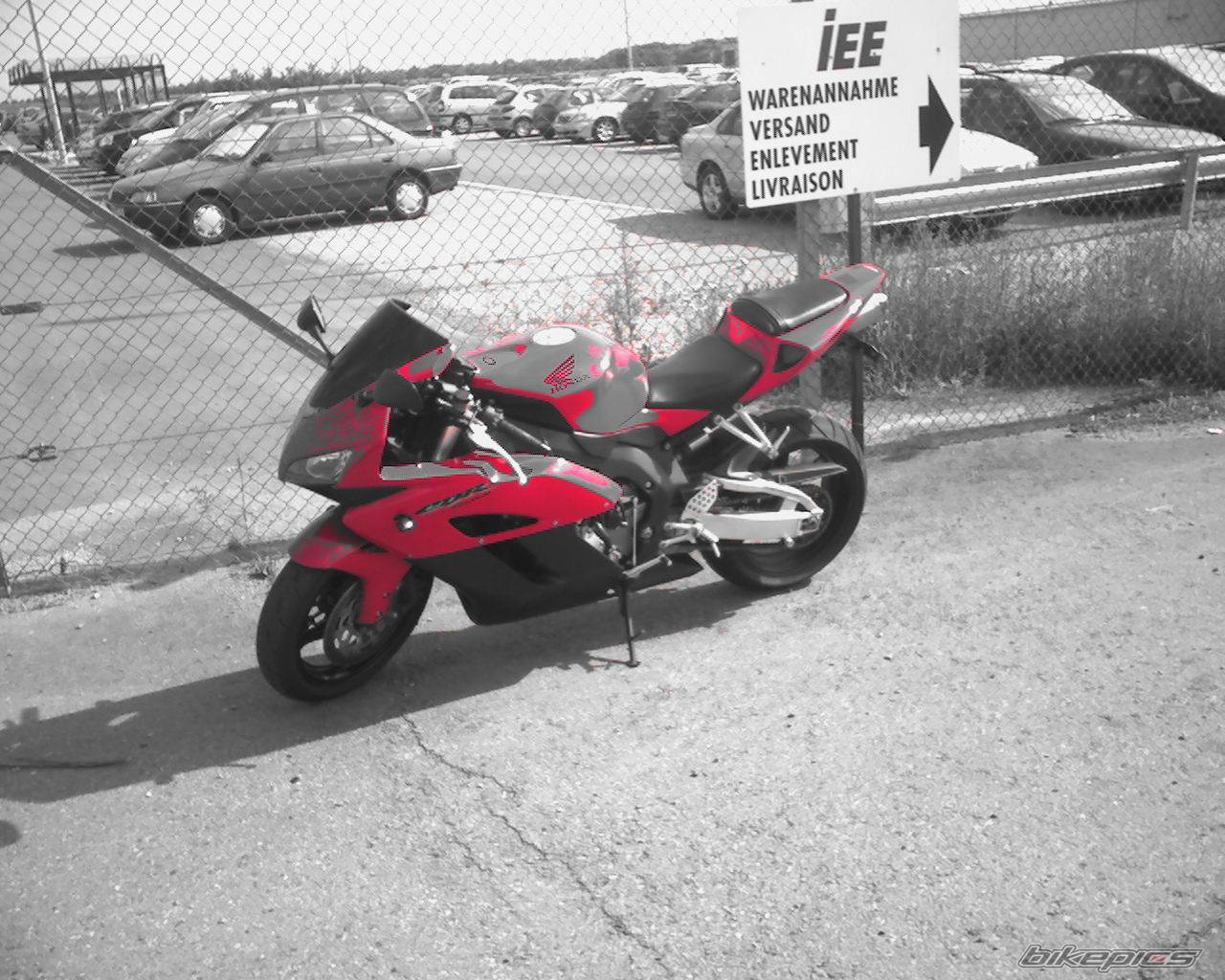 Photo 361569