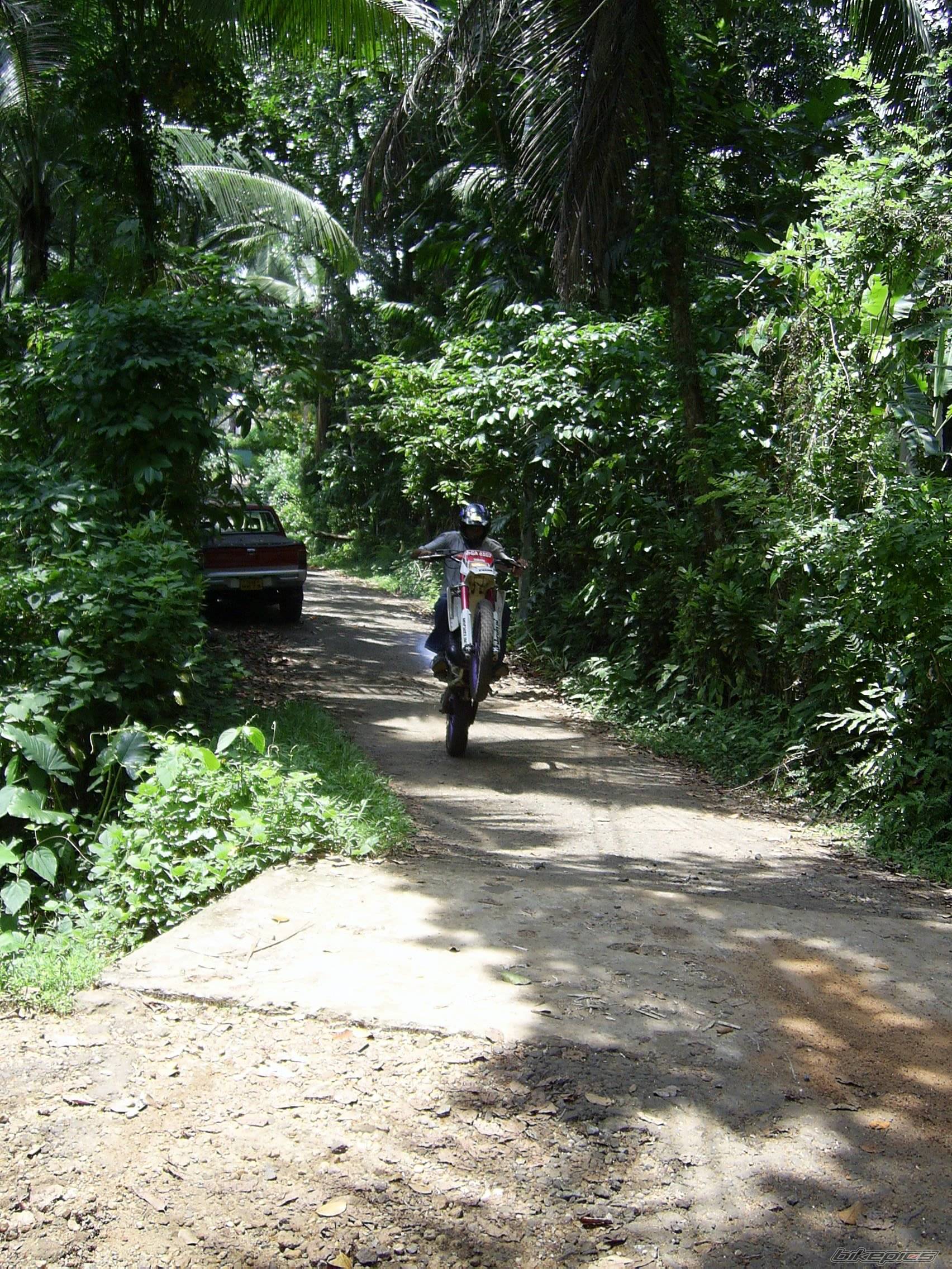 Bike Photo 361646