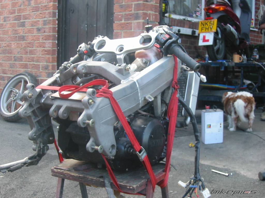 Bike Photo 361815