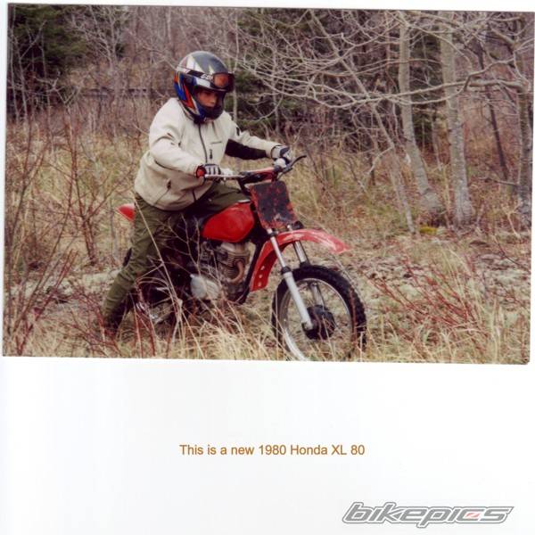 Photo 361995