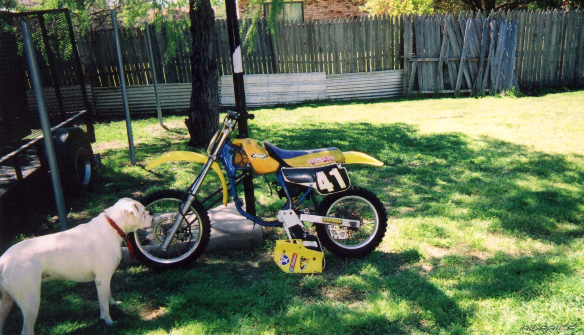 Photo 362009