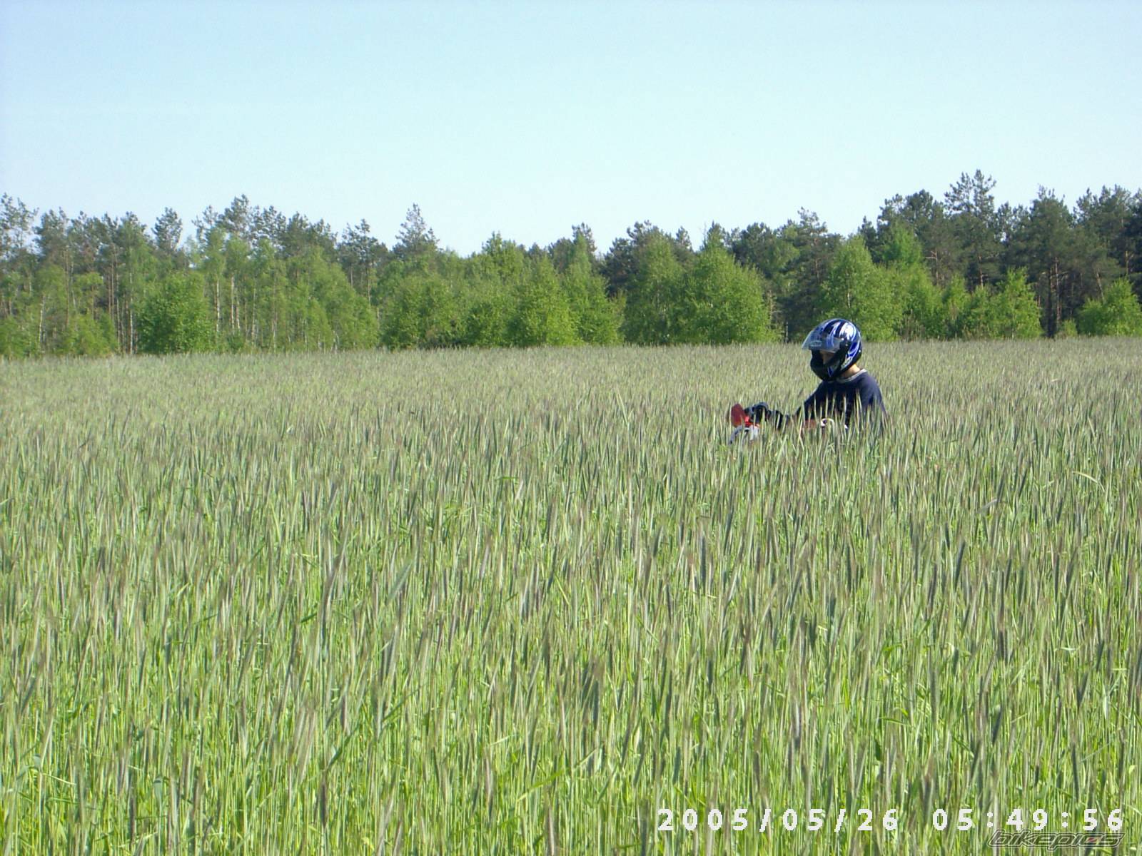 Bike Photo 362304