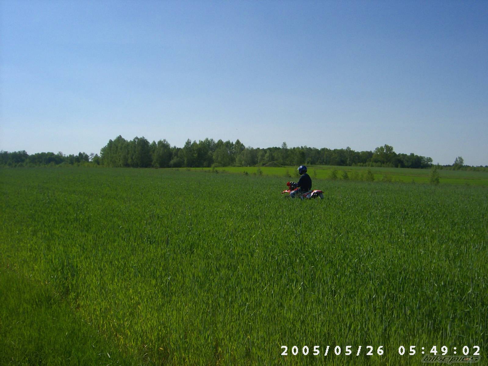 Photo 362313