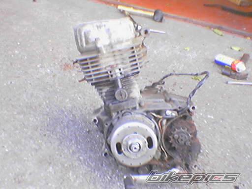 Photo 362332