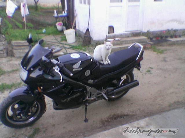 Photo 362366