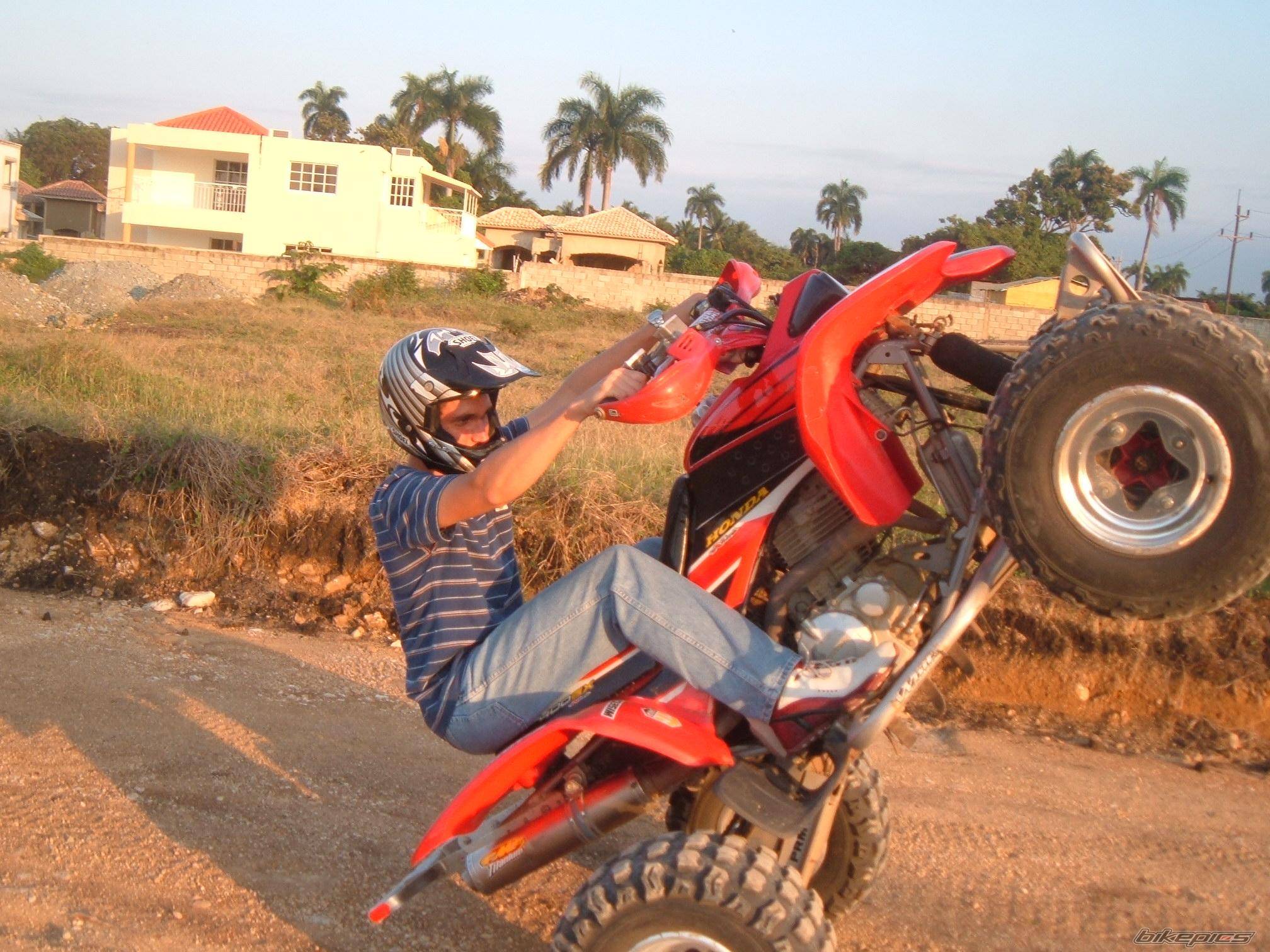 Bike Photo 362398