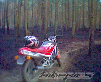 Bike Photo 362541