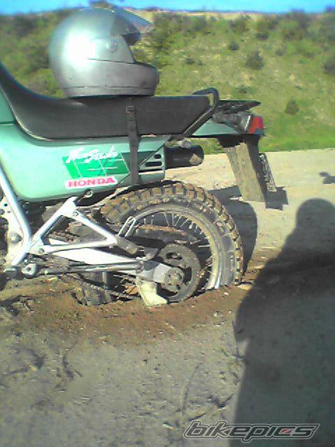 Photo 362575