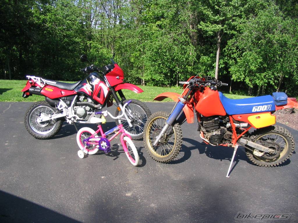 Bike Photo 362804