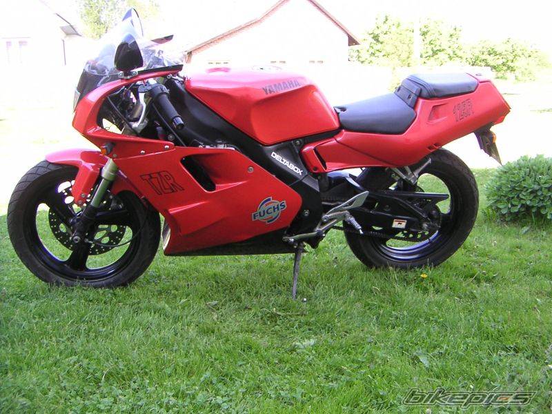 Photo 362871