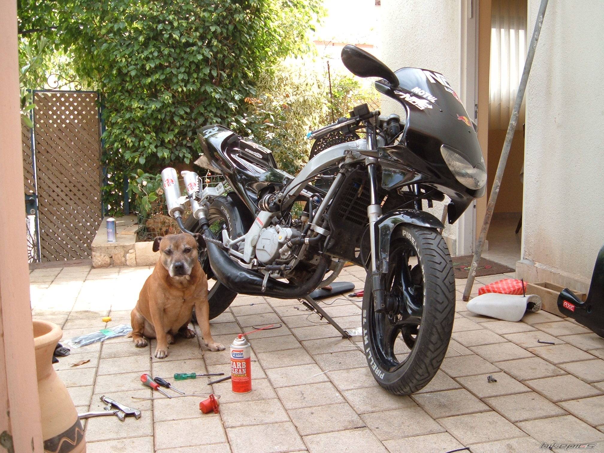 Photo 362993
