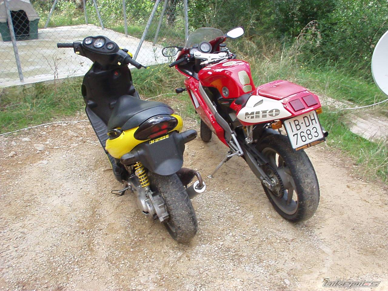 Photo 36307