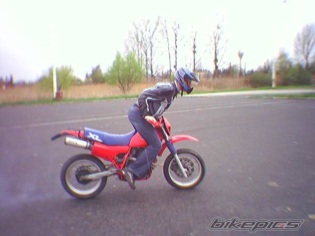 Bike Photo 363288