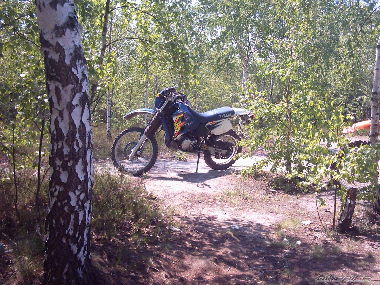 Bike Photo 363298