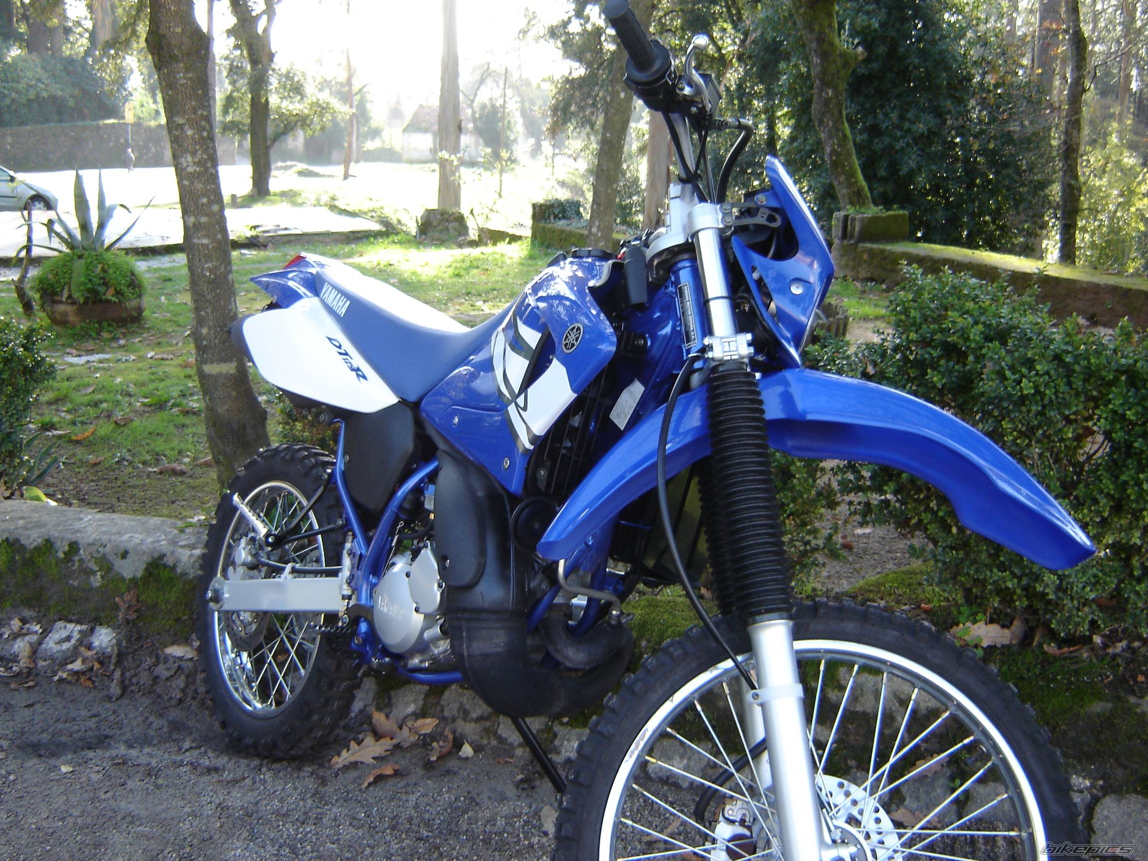 Photo 363397