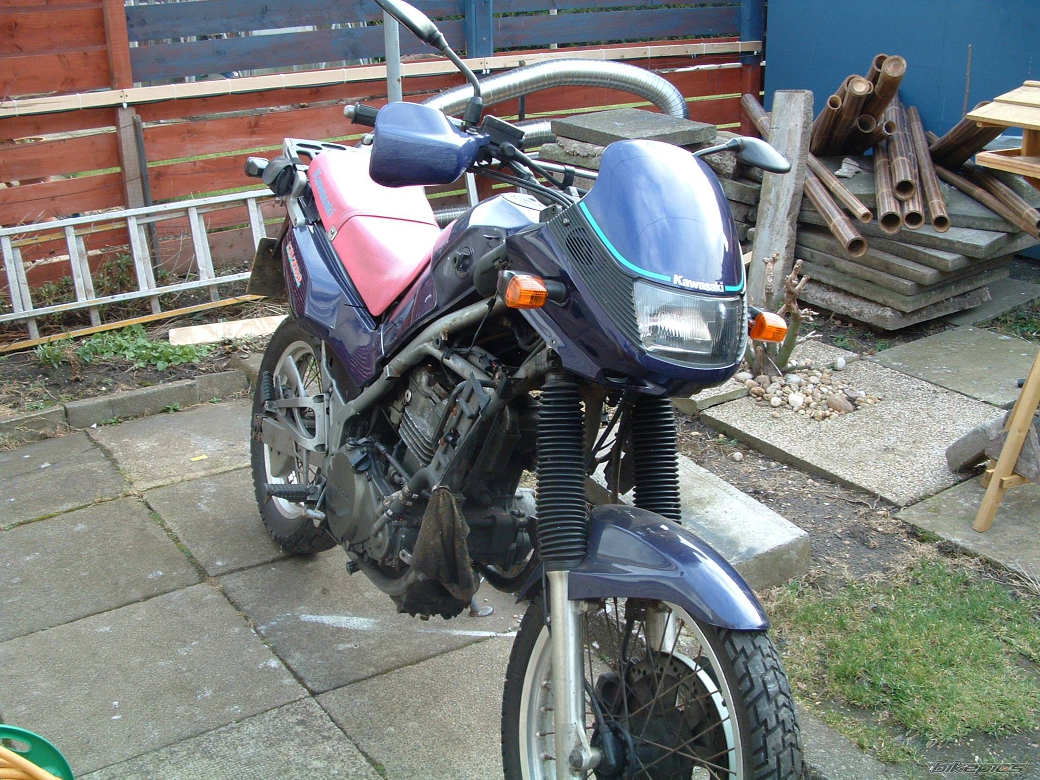 Photo 363475