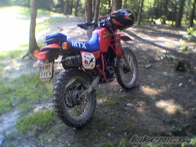 Photo 363496