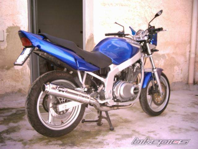 Photo 363548