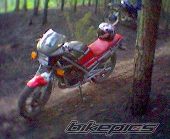 Bike Photo 363733