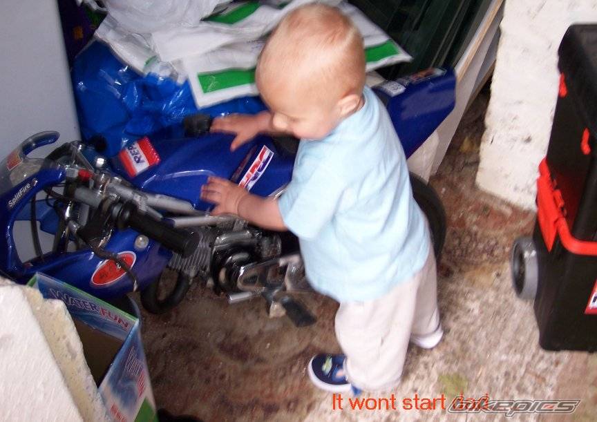 Photo 363789