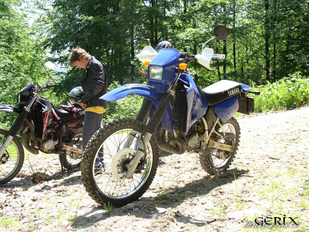 Bike Photo 363847