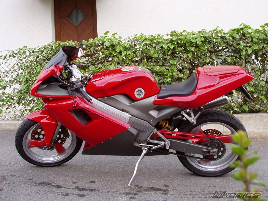 Bike Photo 364039