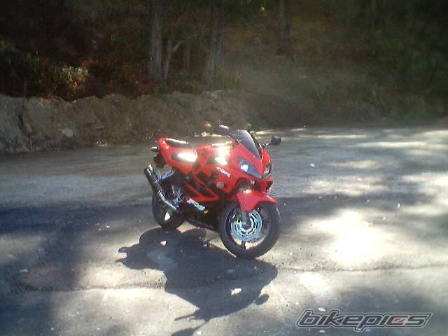 Photo 364290