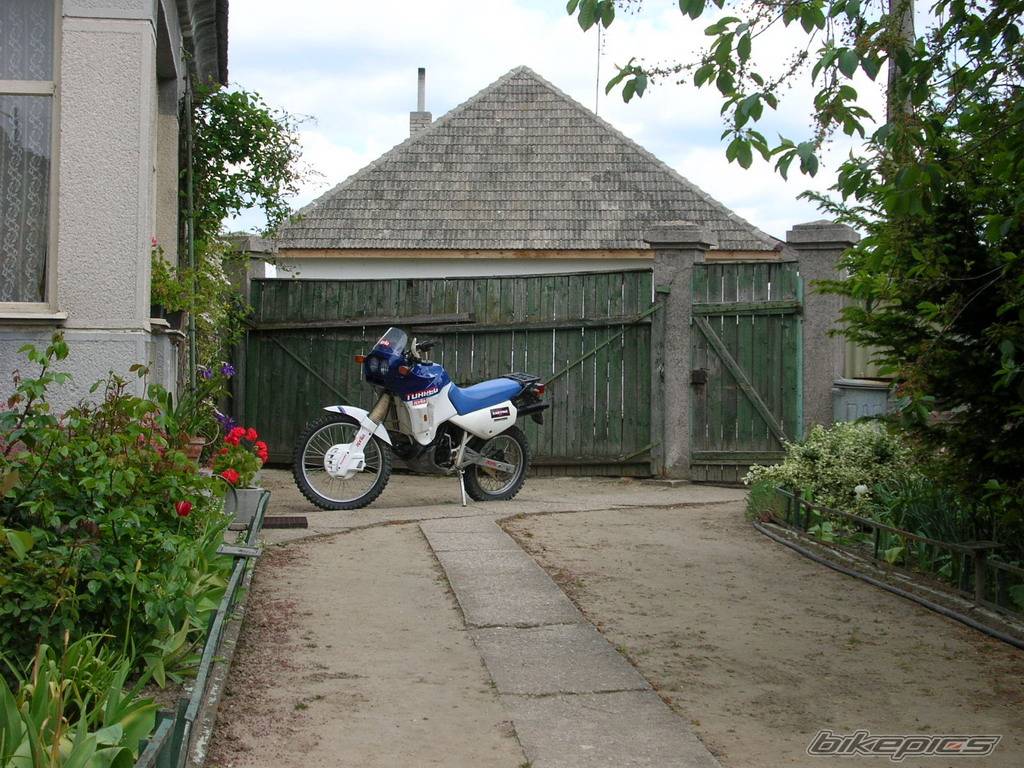 Photo 364325