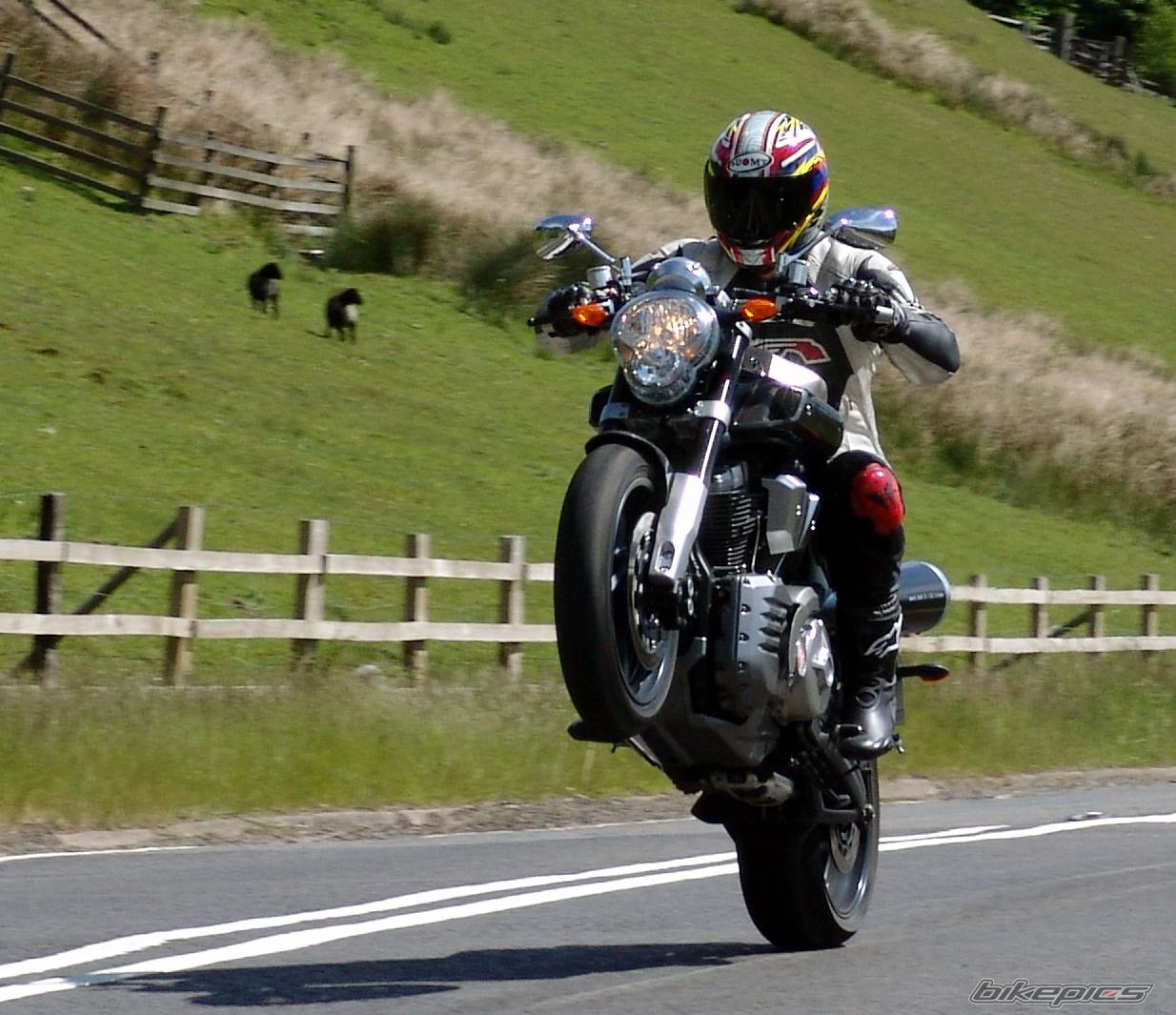 Bike Photo 364426